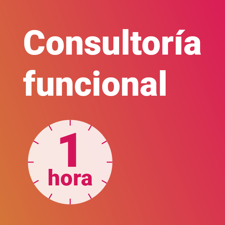 Consultoría funcional 1h