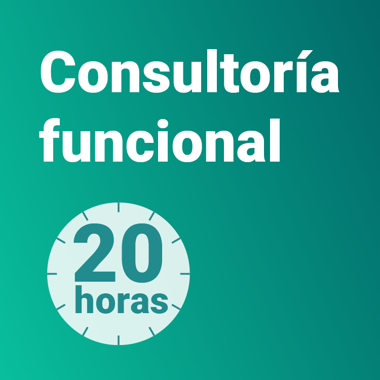 Consultoría funcional 20h